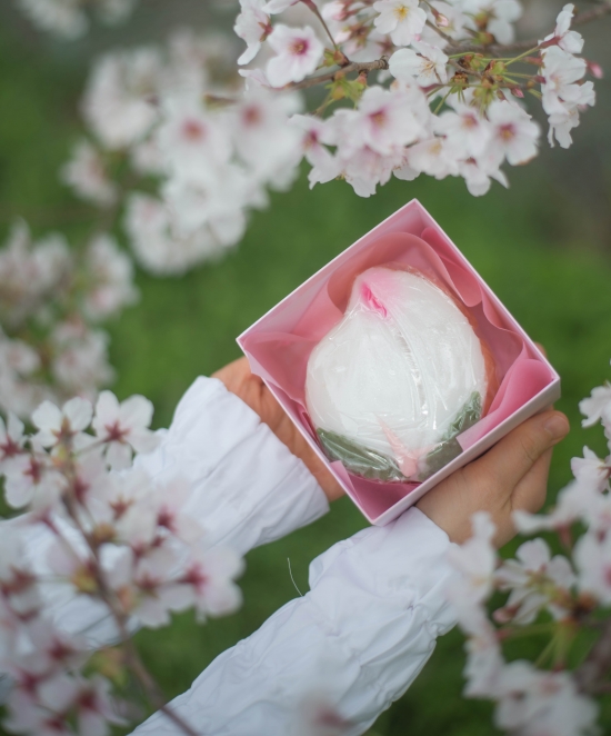通販】桃かすてら1個入り|本田屋かすてら本舗＊長崎カステラ老舗